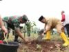 Kodim Peduli Lingkungan, Pj Bupati Bantaeng Ikut Tanam Pohon Serentak